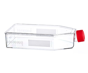 貼壁細(xì)胞培養(yǎng)瓶（TC處理，滅菌）661160 175cm&#178;，最大容積650ml（high）