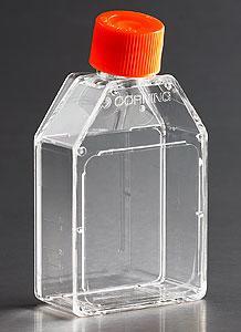 Corning 細(xì)胞培養(yǎng)容器，CellBIND(R) 表面，滅菌 3067