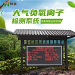 景區(qū)負氧離子檢測儀